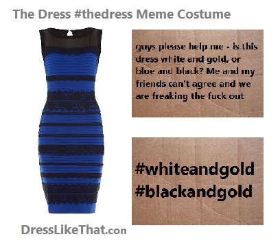 the dress meme costume ideas