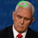 Mike Pence Fly Costume