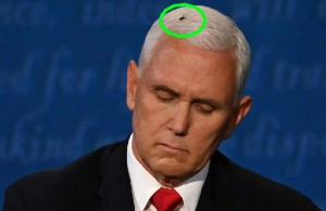 mike pence fly