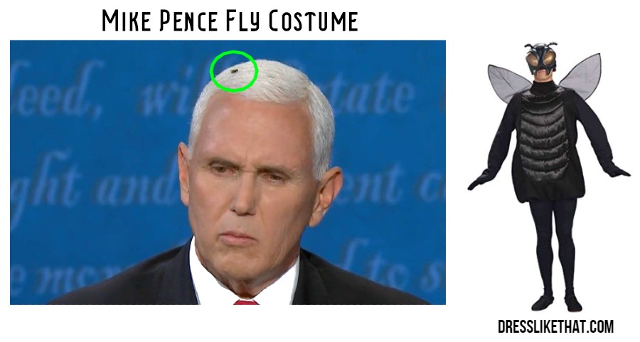 mike pence fly costume